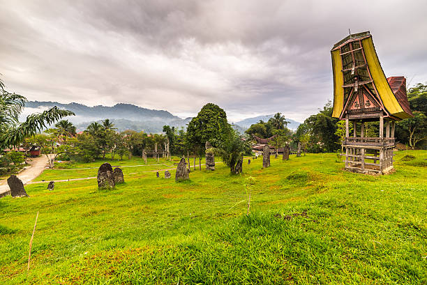 Detail Background Toraja Nomer 4