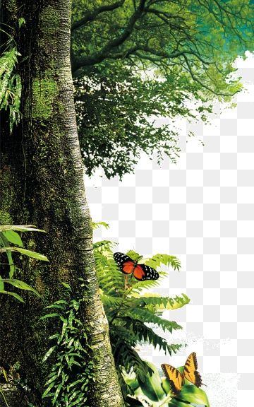 Detail Background Tree Png Nomer 13