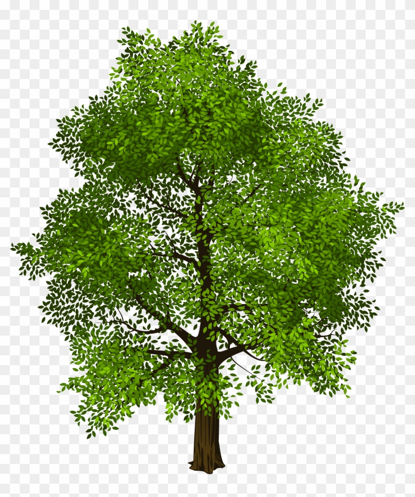 Detail Background Tree Png Nomer 27