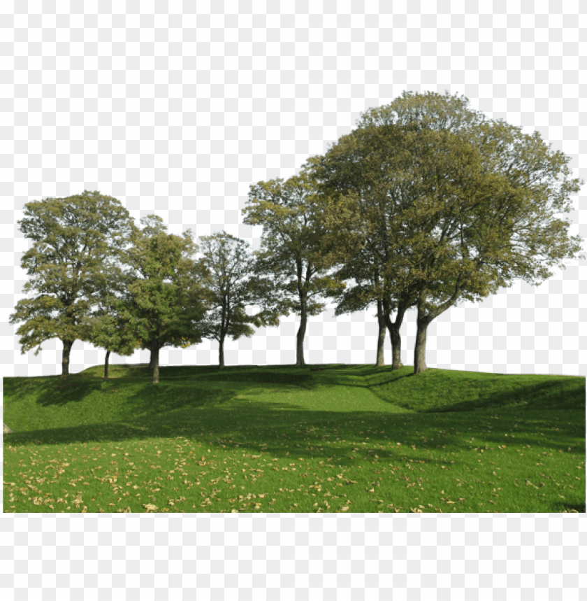 Detail Background Tree Png Nomer 6