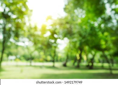 Detail Background Trees Nomer 19