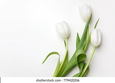 Detail Background Tulip Nomer 22