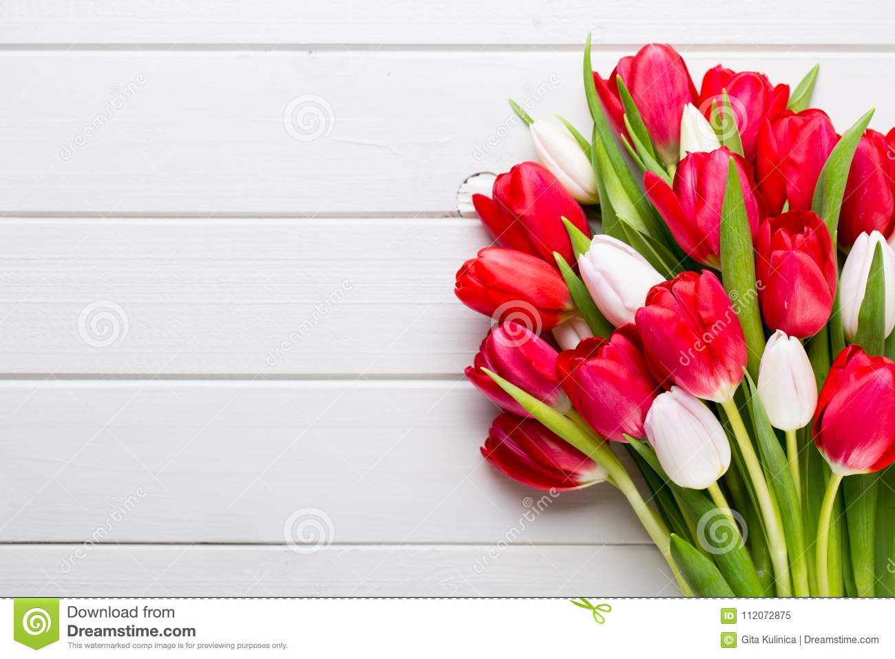 Detail Background Tulip Nomer 23