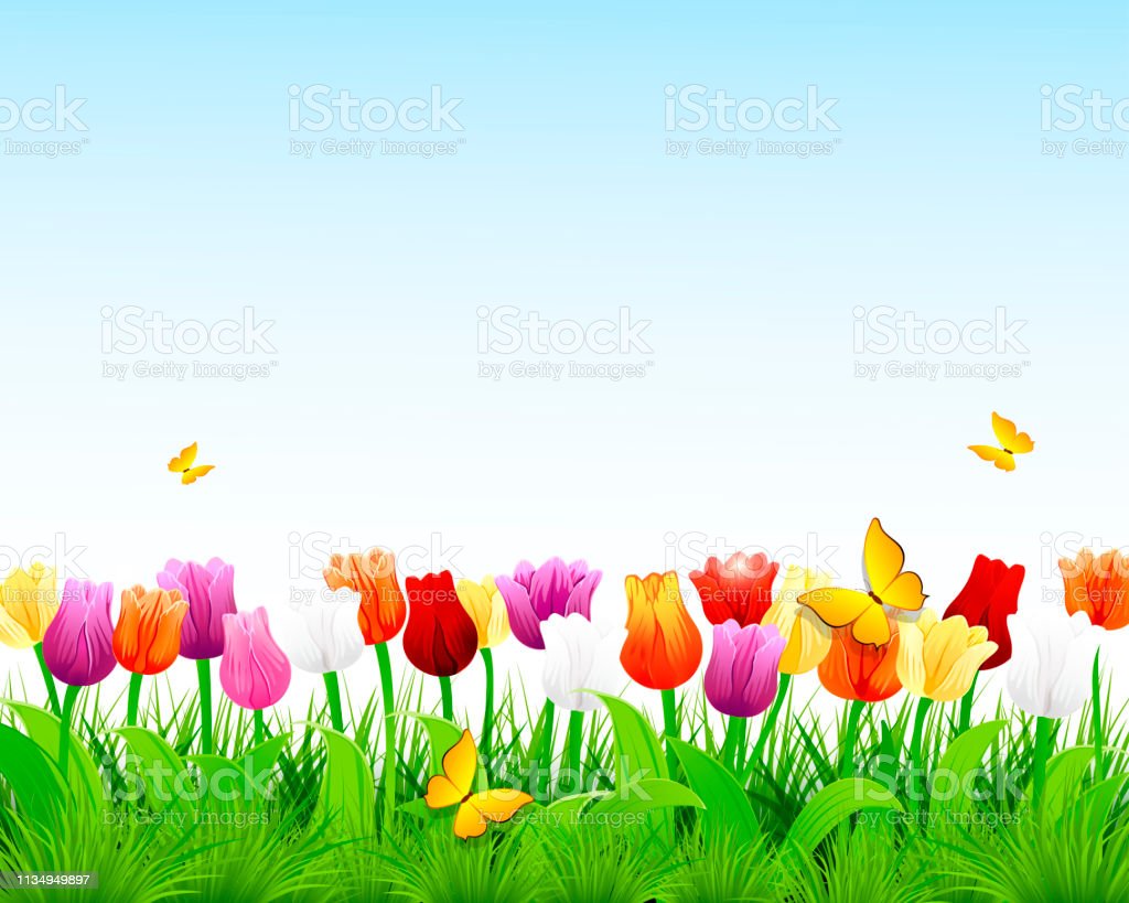 Detail Background Tulip Nomer 53