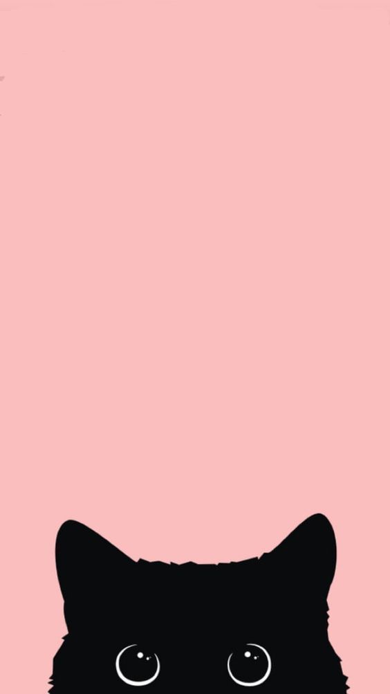 Background Tumblr Cat - KibrisPDR