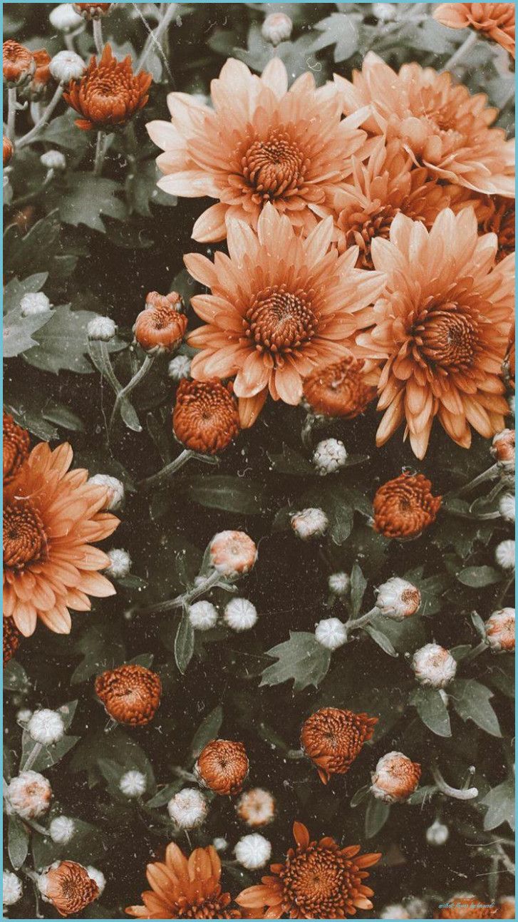 Detail Background Tumblr Pastel Flower Nomer 44