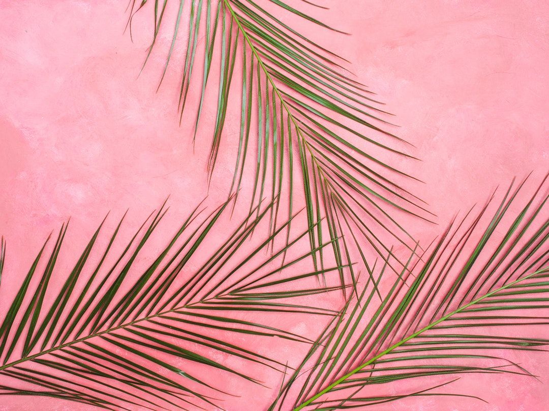 Detail Background Tumblr Pink Nomer 31