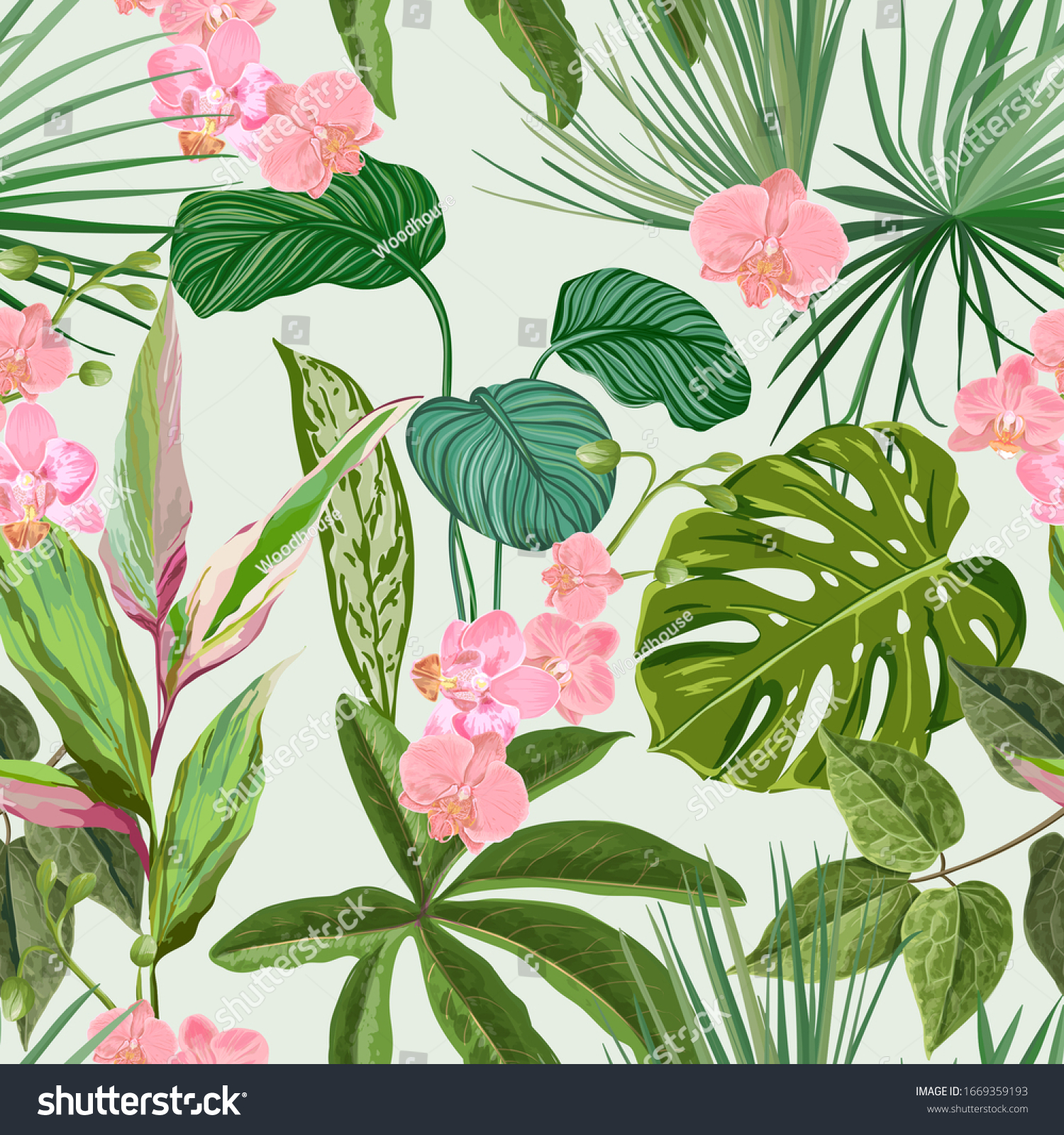 Detail Background Tumbuhan Nomer 35
