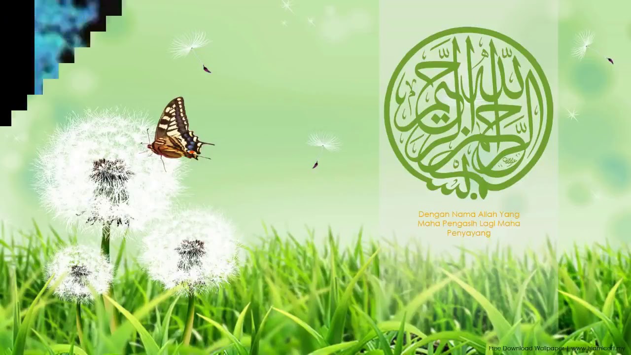 Detail Background Tumbuhan Nomer 39