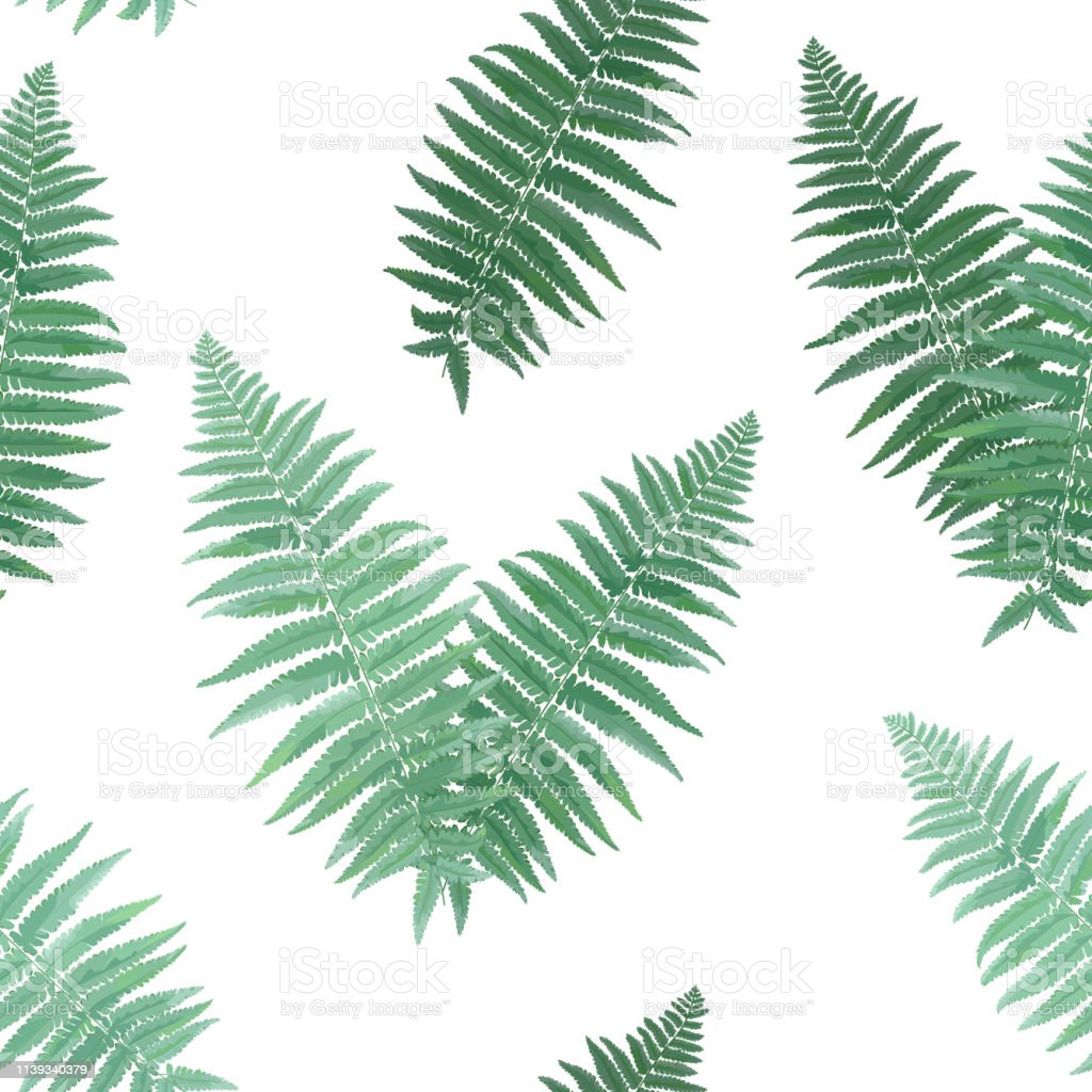 Detail Background Tumbuhan Nomer 47