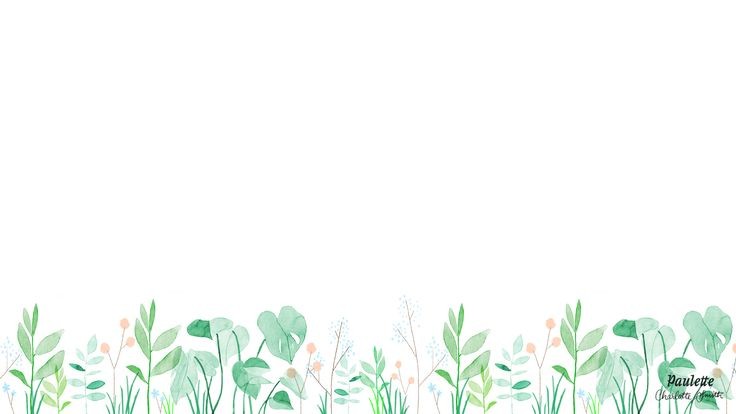Detail Background Tumbuhan Nomer 53
