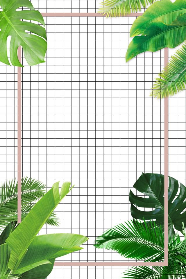 Detail Background Tumbuhan Nomer 10