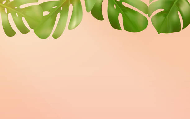 Detail Background Tumbuhan Hijau Nomer 29