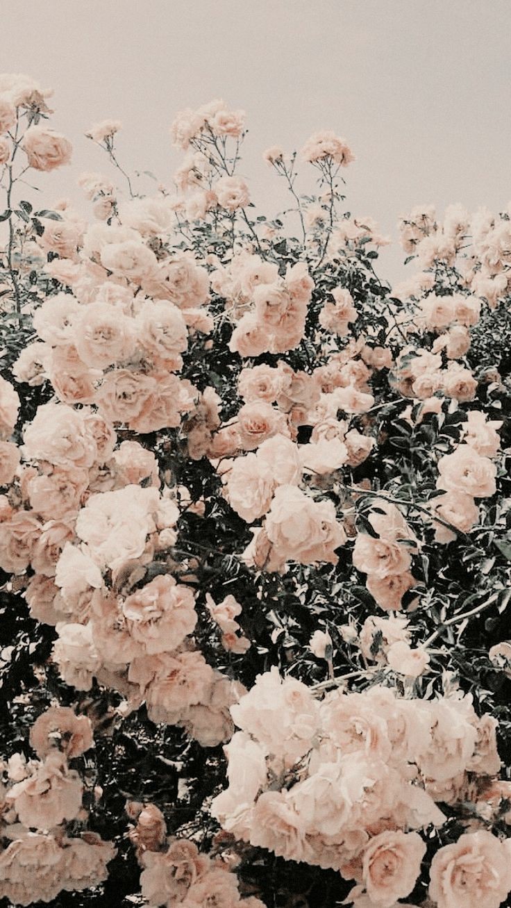 Detail Background Tumlr Nomer 45