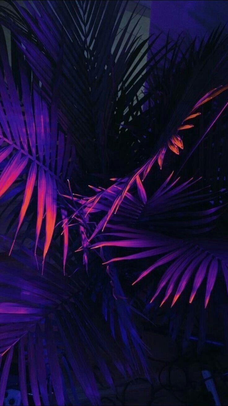 Detail Background Tumlr Nomer 57