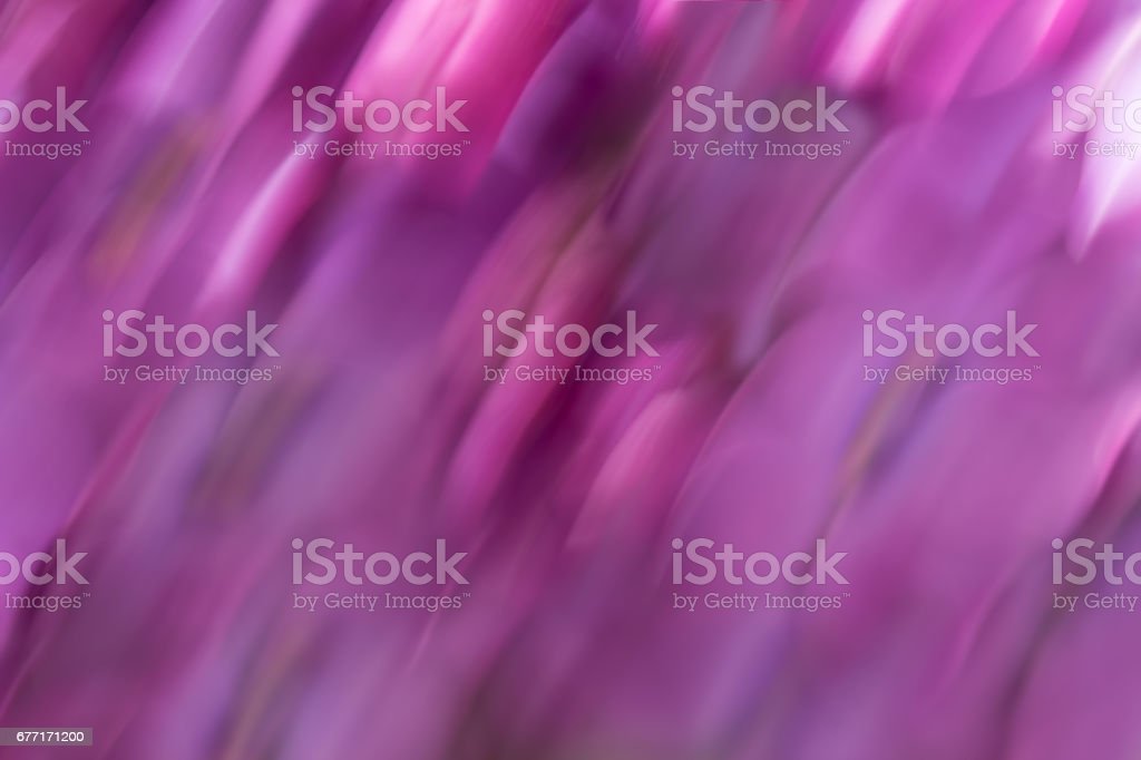 Detail Background Ungu Muda Soft Nomer 39