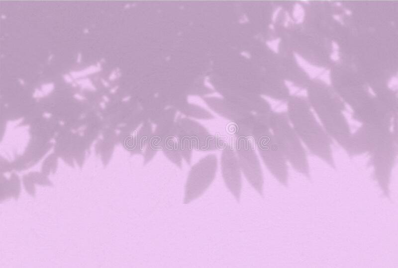 Detail Background Ungu Muda Soft Nomer 49