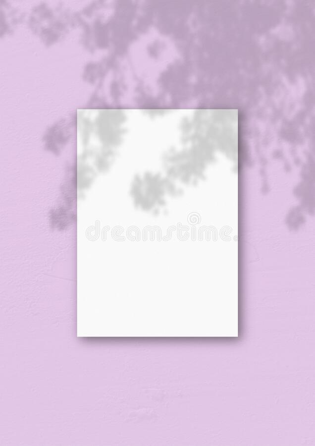 Detail Background Ungu Muda Soft Nomer 50