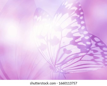 Detail Background Ungu Muda Soft Nomer 53