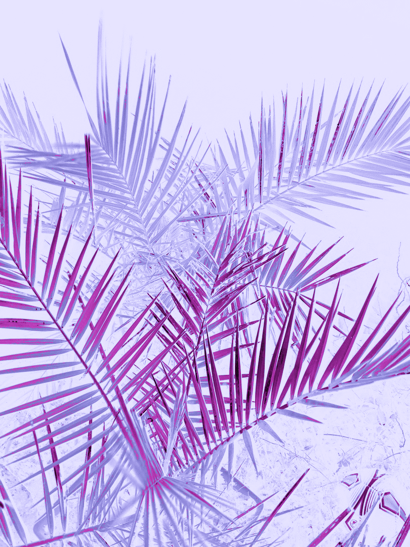 Detail Background Ungu Pastel Nomer 41
