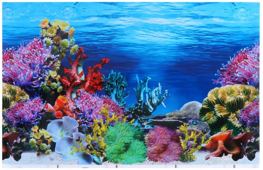 Detail Background Untuk Aquarium Nomer 11