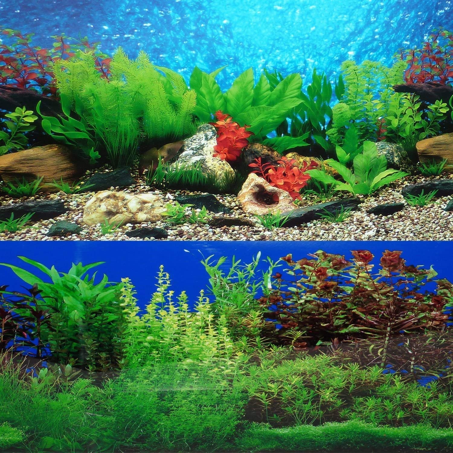 Detail Background Untuk Aquarium Nomer 12