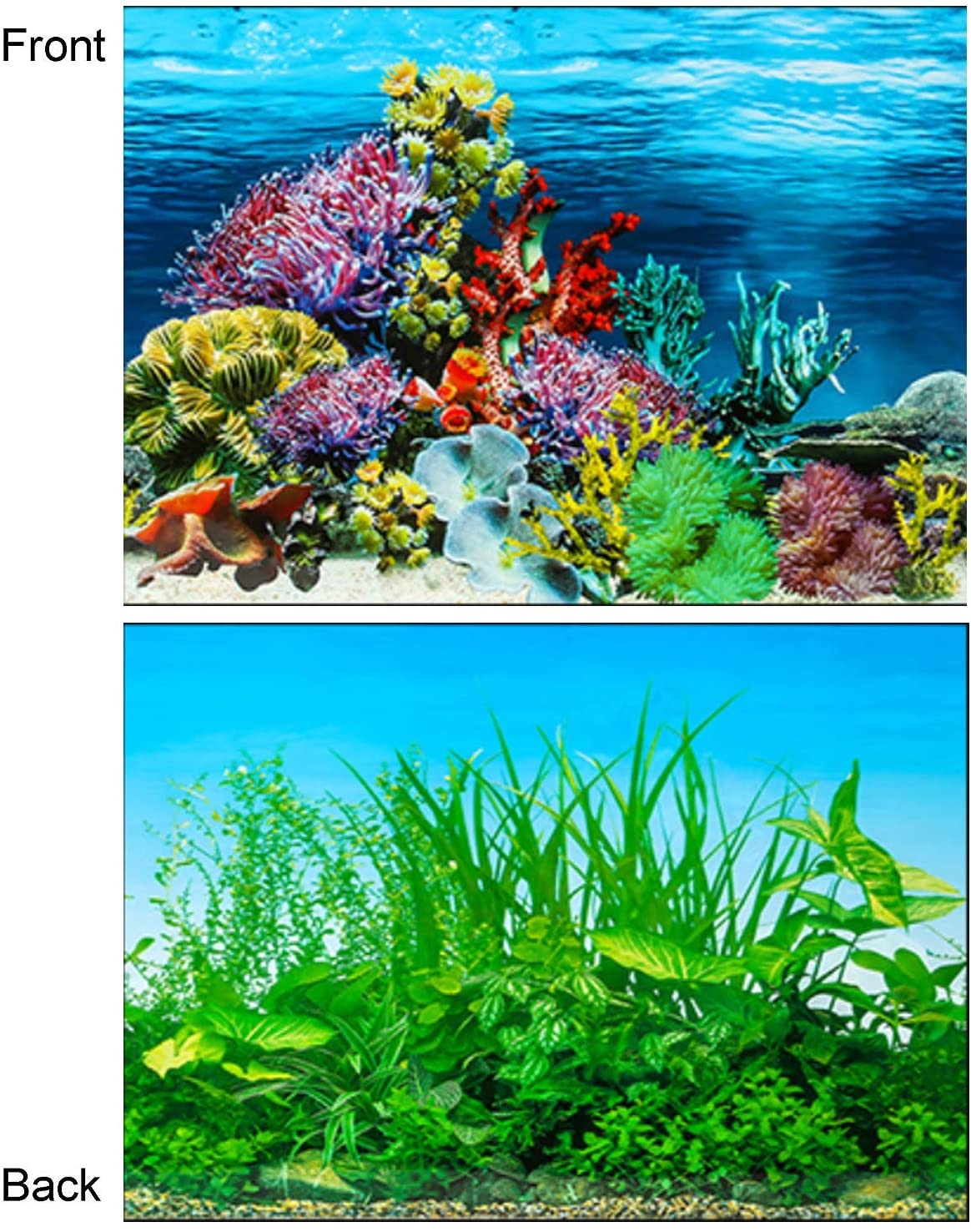 Detail Background Untuk Aquarium Nomer 16