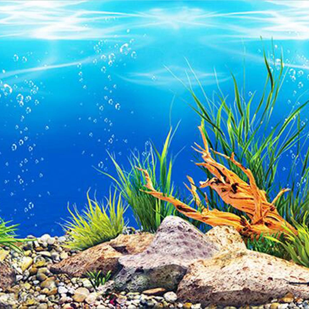 Detail Background Untuk Aquarium Nomer 17