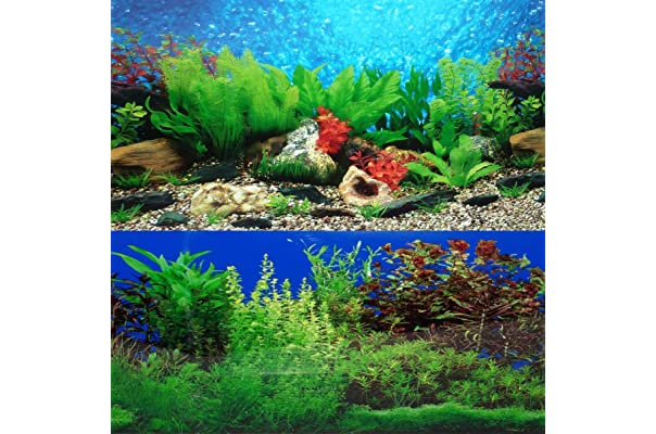 Detail Background Untuk Aquarium Nomer 34