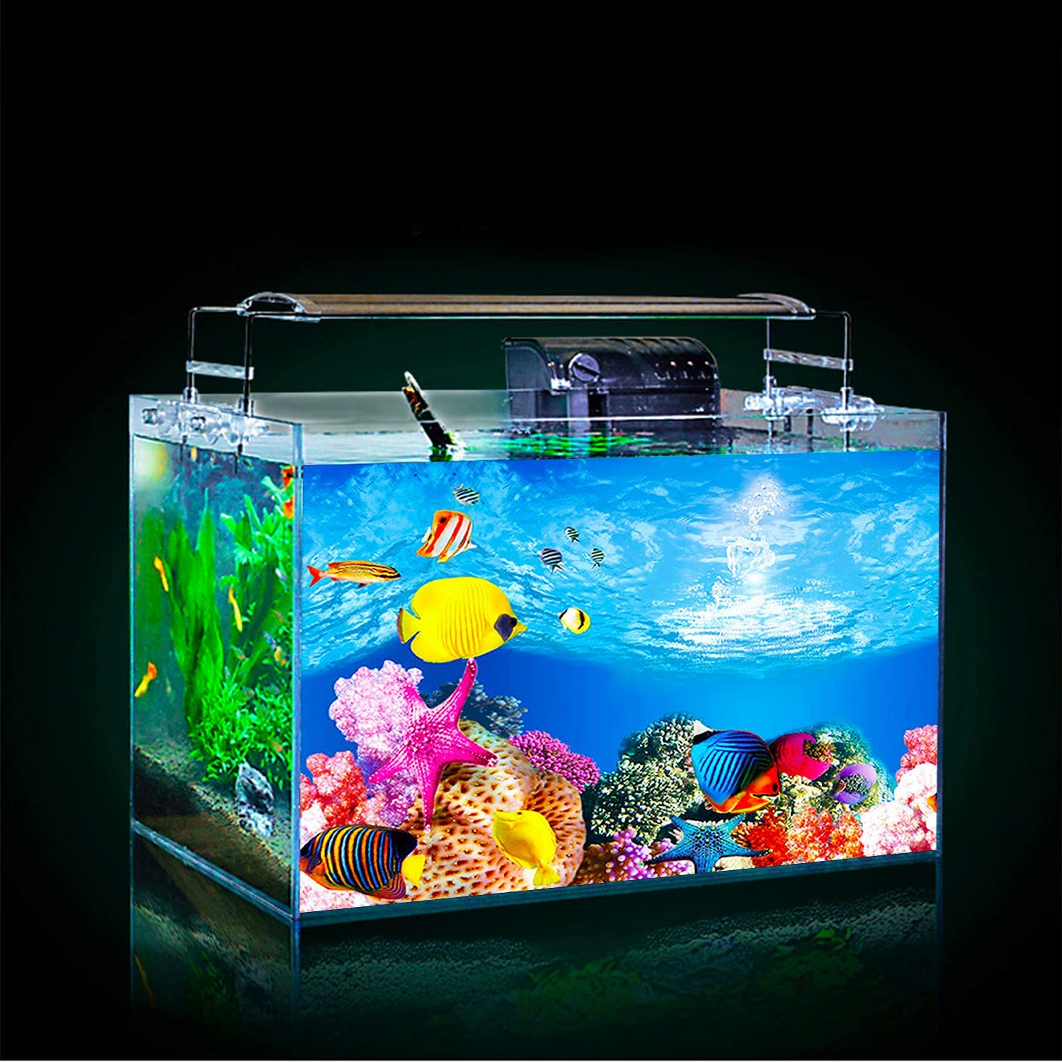 Detail Background Untuk Aquarium Nomer 49