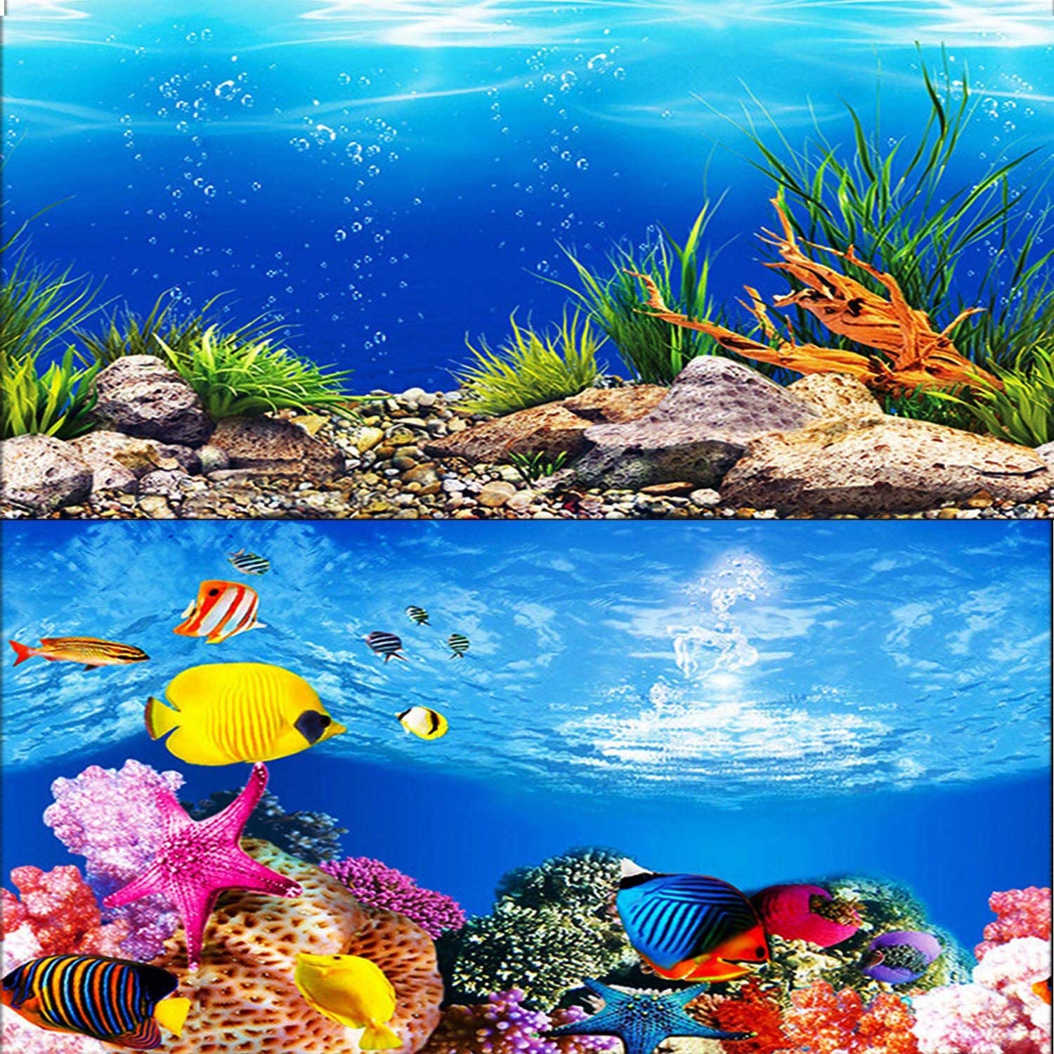 Detail Background Untuk Aquarium Nomer 8