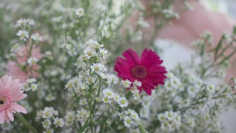 Detail Background Untuk Prewedding Nomer 50