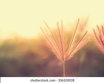 Detail Background Untuk Quotes Nomer 20