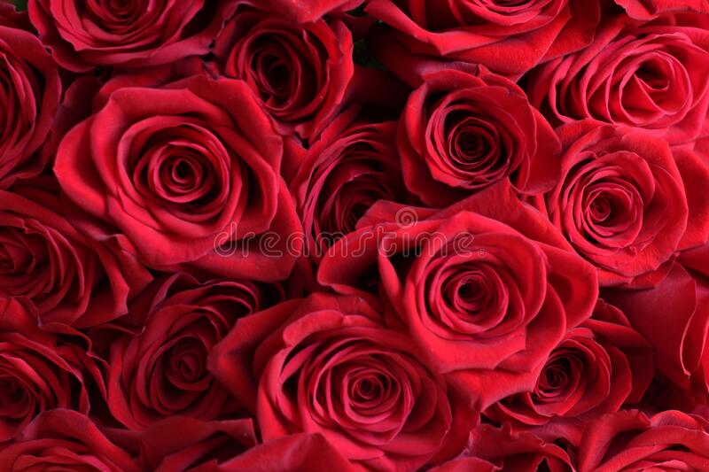 Detail Background Valentine Gambar Valentine Menurut Dunia Nomer 57