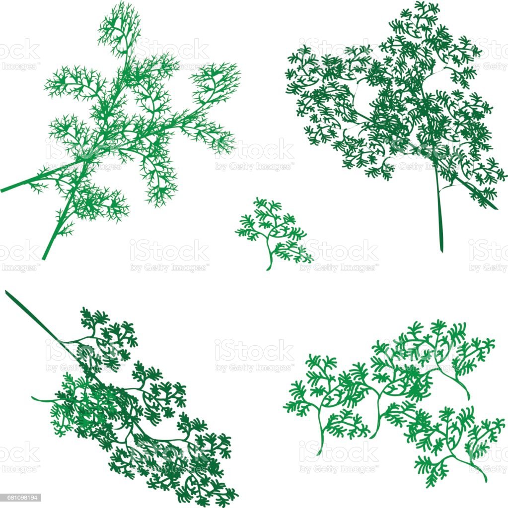 Detail Background Vector Anak Nomer 43