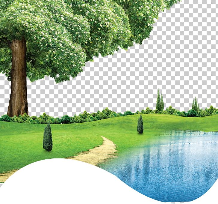 Detail Background Vector Coreldraw Nomer 49