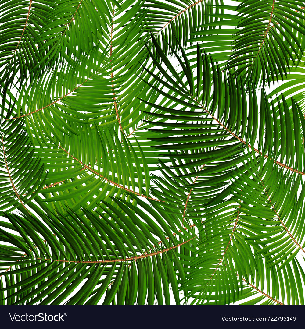 Detail Background Vector Daun Nomer 28