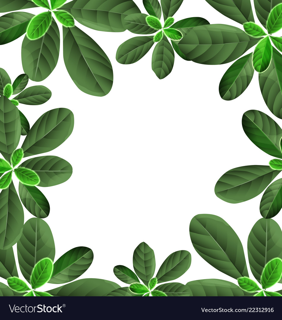 Detail Background Vector Daun Nomer 34