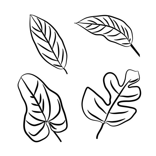 Detail Background Vector Daun Nomer 42