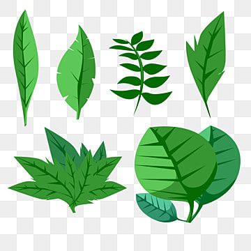 Detail Background Vector Daun Nomer 49