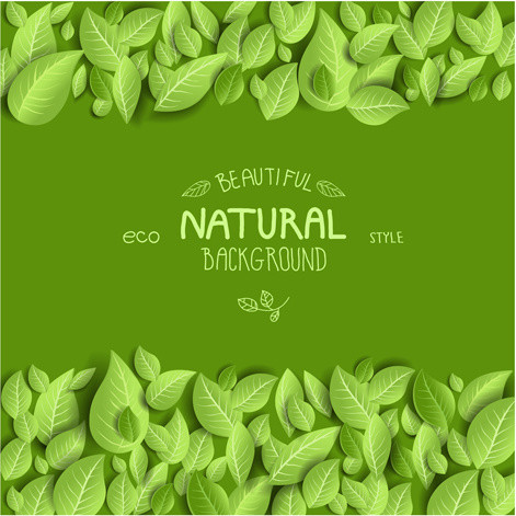 Detail Background Vector Daun Nomer 56