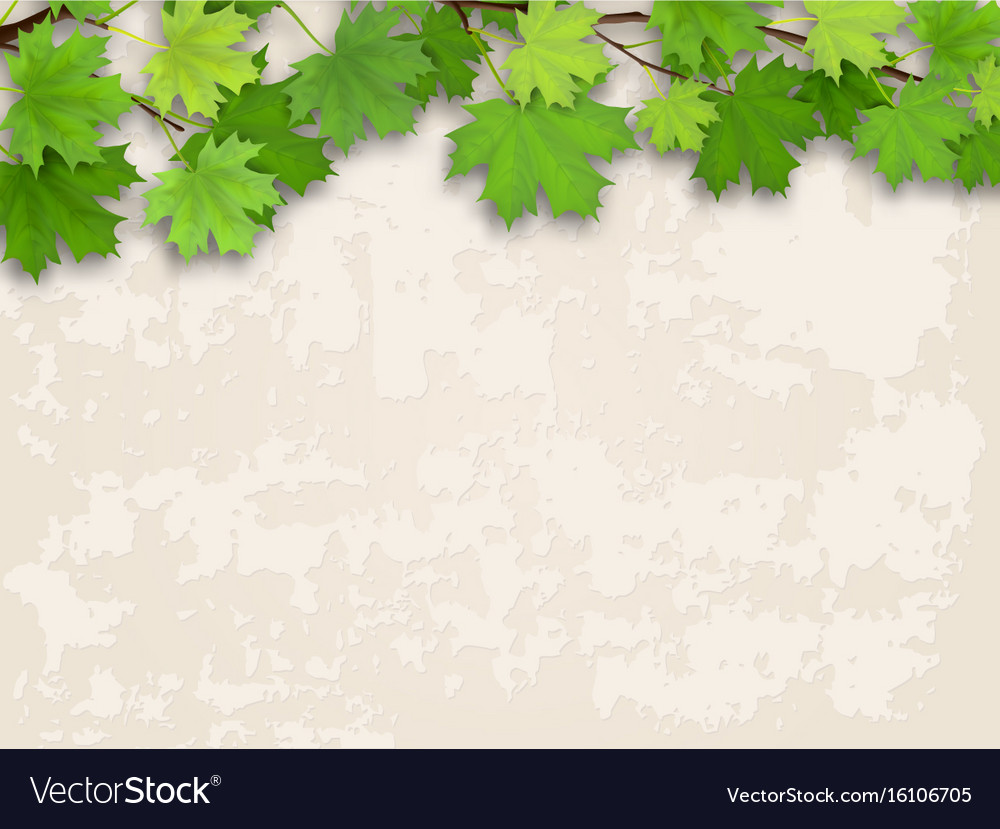 Detail Background Vector Daun Nomer 57