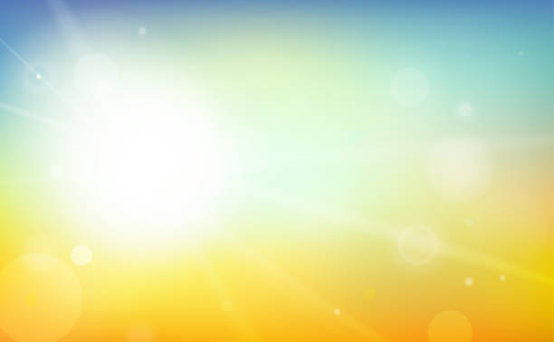Detail Background Vector Hd Nomer 18