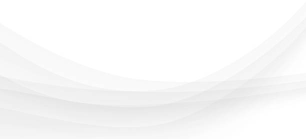Detail Background Vector White Nomer 3
