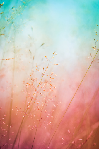 Detail Background Vertical Nomer 3