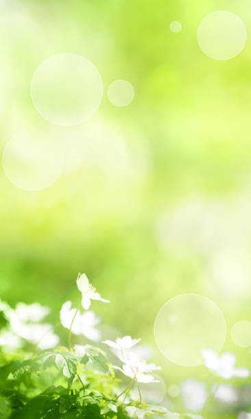Detail Background Vertical Nomer 39