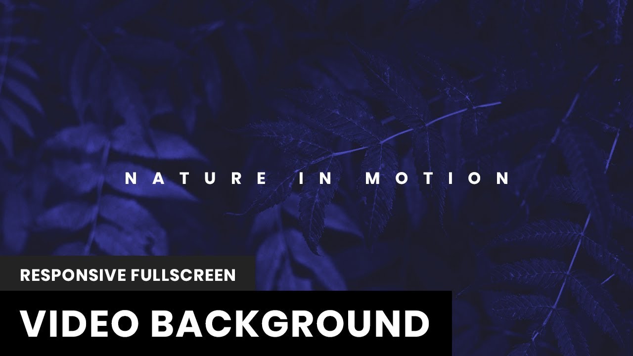 Detail Background Video Css Nomer 12