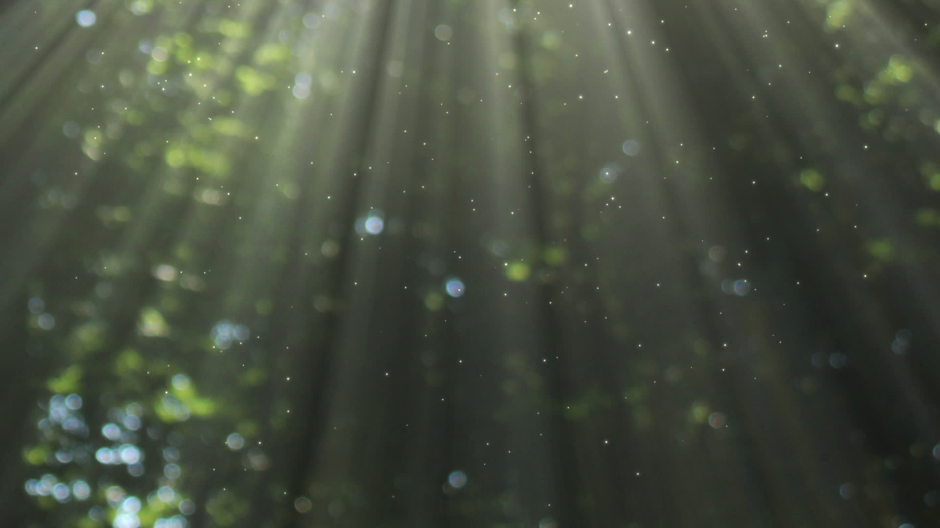 Detail Background Video Loop Nomer 18