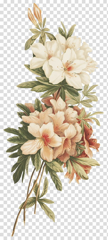 Detail Background Vintage Flowers Nomer 50