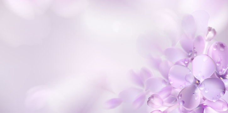 Detail Background Violet Nomer 40